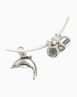 Alex & Ani Charm Bracelet - Dolphin