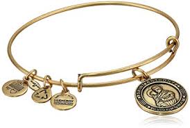 Alex Ani Charm Bracelet Saint Anthony